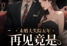 完结版《未婚夫失踪五年：再见竟是别人丈夫》章节阅读-胖达文学