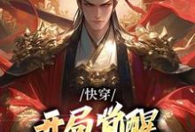 《快穿：开局觉醒无上帝王系统》小说大结局免费试读 秦渊小说-胖达文学