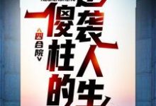 四合院：傻柱的逆袭人生小说，四合院：傻柱的逆袭人生何雨柱娄小娥-胖达文学