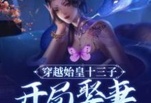 完结版《穿越始皇十三子，开局娶妻少司命》章节目录在线阅读-胖达文学