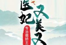 医妃又美又飒，专治傲娇王爷魏紫风澹渊，医妃又美又飒，专治傲娇王爷章节在线阅读-胖达文学