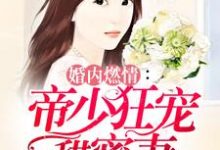 婚内燃情:帝少狂宠甜蜜妻斯皓宸简熙简世勋小说大结局免费试读-胖达文学