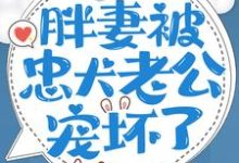 重生八零：胖妻被忠犬老公宠坏了小说的免费阅读版本在哪里可以找到？-胖达文学