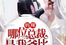 妈咪，哪位总裁是我爸比小说有没有完整的免费版本在线阅读？-胖达文学