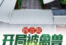 四合院：开局被禽兽们搬空家小说完结了吗？在哪里可以免费读到？-胖达文学