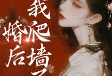 完结版《婚后，我爬墙了》章节阅读-胖达文学