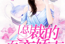 求总裁的百变娇妻小说的全文免费阅读链接-胖达文学