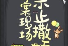 完结版《命案现场禁止撒娇》章节阅读-胖达文学