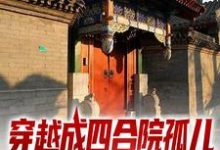 《穿越成四合院孤儿，我靠系统起飞了》全集免费在线阅读（陈知行陈宁）-胖达文学