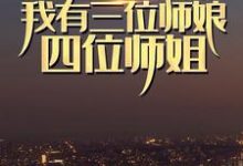 主人公叫陈不凡王豆豆的小说哪里免费看-胖达文学