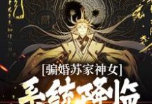 《骗婚苏家神女，系统降临上古神瞳》全集免费在线阅读（南宫辰）-胖达文学