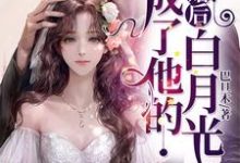 完结版《离婚后，成了他的白月光》章节阅读-胖达文学