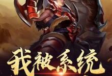 我被系统砸中了小说阅读,我被系统砸中了完结版-胖达文学