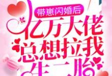 带崽闪婚后,亿万大佬总想拉我生二胎小说,带崽闪婚后,亿万大佬总想拉我生二胎在线阅读-胖达文学