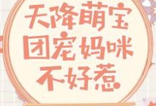 完结版《天降萌宝：团宠妈咪不好惹》章节阅读-胖达文学