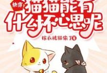 《快穿：猫猫能有什么坏心思呢》小说主角阿淼华裳章节章节免费在线阅读-胖达文学