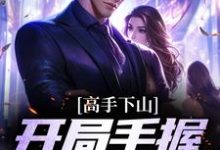 完结版《高手下山：开局手握九份婚约》章节目录在线阅读-胖达文学