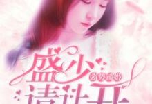 强势锁婚：盛少，请让开小说的无弹窗阅读体验，寻找免费阅读网站-胖达文学