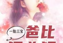 一胎三宝，爸比狠凶猛免费阅读，一胎三宝，爸比狠凶猛艾小萌慕博彦慕博盈慕博霆-胖达文学