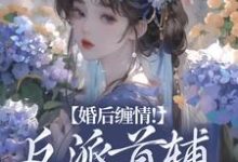 小说《婚后缠情！反派首辅为我痴狂》在线章节阅读-胖达文学