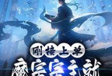 已完结小说《刚接上单，魔宗宗主就让我弃暗投明》章节在线阅读-胖达文学