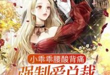 完结版《小乖乖腰酸背痛，强制爱总裁是疯批》章节目录在线阅读-胖达文学