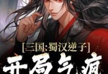 完结版《三国：蜀汉逆子，开局气疯诸葛亮》章节阅读-胖达文学