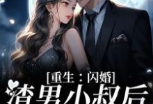 免费看重生：闪婚渣男小叔后，她赢麻了小说的网站有哪些？-胖达文学