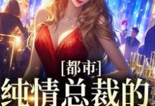 完结版《都市：纯情总裁的自我攻略》免费阅读-胖达文学