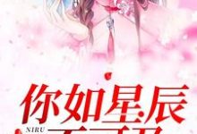 完结版《你如星辰不可及》免费阅读-胖达文学