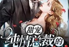 完结版《甜宠：纯情总裁的野蛮小娇妻》章节目录在线阅读-胖达文学