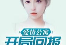 完结版《爱情公寓：开局回报诸葛大力》章节目录在线阅读-胖达文学