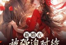 小说《新婚夜被强迫对待，这叫不近女色？》章节免费阅读-胖达文学