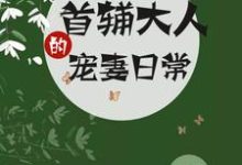 求首辅大人的宠妻日常小说免费资源-胖达文学