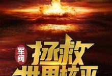 完结版《军阀：拯救世界核平》在线免费阅读-胖达文学