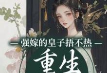 完结版《强嫁的皇子捂不热，重生她不要了》免费阅读-胖达文学