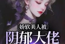 求娇软美人被阴郁大佬盯上了小说免费资源-胖达文学