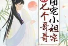 完结版《农门福宝：七个哥哥团宠小祖宗》免费阅读-胖达文学