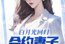 完结版《白月光回归，合约妻子和我离婚了》免费阅读-胖达文学