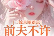 完结版《二嫁京圈霸总，前夫不许来捣乱》免费阅读-胖达文学