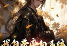 完结版《我自带旁白系统，浪迹武侠世界》章节阅读-胖达文学