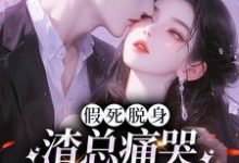 完结版《假死脱身，渣总痛哭流涕求我归家》在线免费阅读-胖达文学