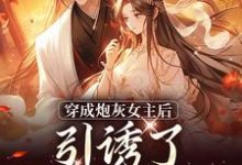 完结版《被逼婚言情文男主后，穿越女她杀疯了》章节目录在线阅读-胖达文学