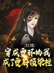 《红楼：穿成贾环的我成了贾府顶梁柱》小说大结局免费试读 贾环小说