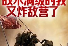 完结版《抗战：战术满级的我又炸敌营了》章节阅读-胖达文学