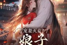 完结版《宠妻灭妾？娘子，我不会啊》章节阅读-胖达文学