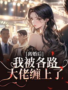 离婚后，我被各路大佬缠上了免费阅读，离婚后，我被各路大佬缠上了章节目录