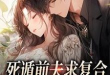完结版《死遁前夫求复合，再婚老公红了眼》免费阅读-胖达文学