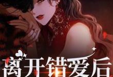 完结版《离开错爱后，她独自美丽》免费阅读-胖达文学