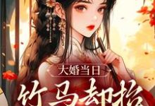 大婚当日，竹马却抬平妻入门小说，大婚当日，竹马却抬平妻入门章节在线阅读-胖达文学